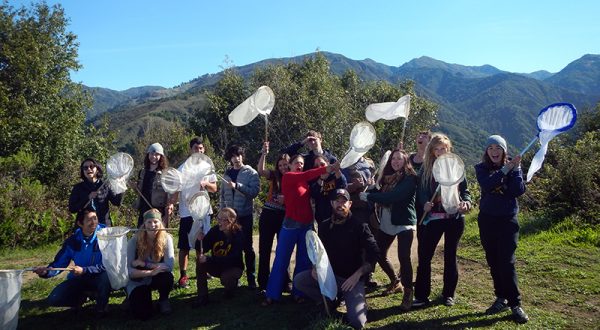 Entomology Field Class 2014