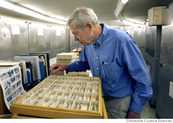 Powell looking at specimens in drawer