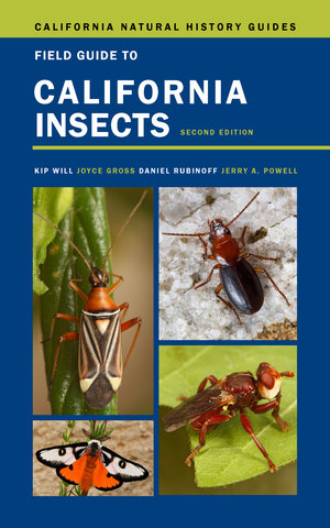 Copper Lodge Library: Exploring Insects with Uncle Paul: Edited by  Stephanie B. Meter: 9781951571221 